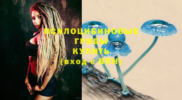 ешки Абдулино